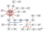 Thumbnail of Spread of vaccinia virus Cantagalo (CTGV) strain infection and the epidemiologic links between affected farms in Rondônia, 2009. Two farms provided 252 cattle for the First Rondônia Dairy Cattle Auction (10°51′02.38′′S, 61°59′23.93′′W), which occurred in Ji-Paraná, Rondônia, on August 2, 2009. Eighty-one animals were sold to 6 farms; the remaining cattle were returned to their original owners. Dairy workers were hired as temporary workers for the pre-event period. Each farm affected