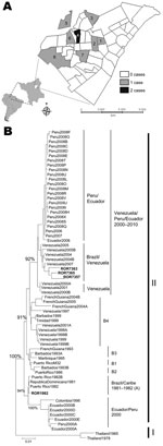 Thumbnail of A) Boa Vista, Roraima State, Brazil, showing the districts where dengue virus type 4 (DENV-4) was isolated. 1, Liberdade; 2, Buritis; 3, Cauamé; 4, Santa Tereza; 5, Cidade Satélite; 6, Dr. Silvio Leite; 7, Joquel Clube; 8, Sen. Hélio Campos. B) Phylogenetic analysis of the DENV-4 envelope gene sequences (in boldface) constructed by using the neighbor-joining method, showing the cluster formed by Boa Vista and Venenzuela DENV-4 genotype I strains. Bootstrap values were set for 1,000