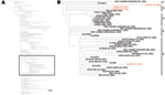 Thumbnail of Maximum-likelihood phylogenetic tree showing all published, full open reading frame North American West Nile virus isolates, 2002–2009 (A), and enlargement showing SW/WN03 genotype (B). Red, isolates sequenced in this study. Scale bar in panel A indicates nucleotide substitutions per site. Numbers on the right in panel B indicate groups.