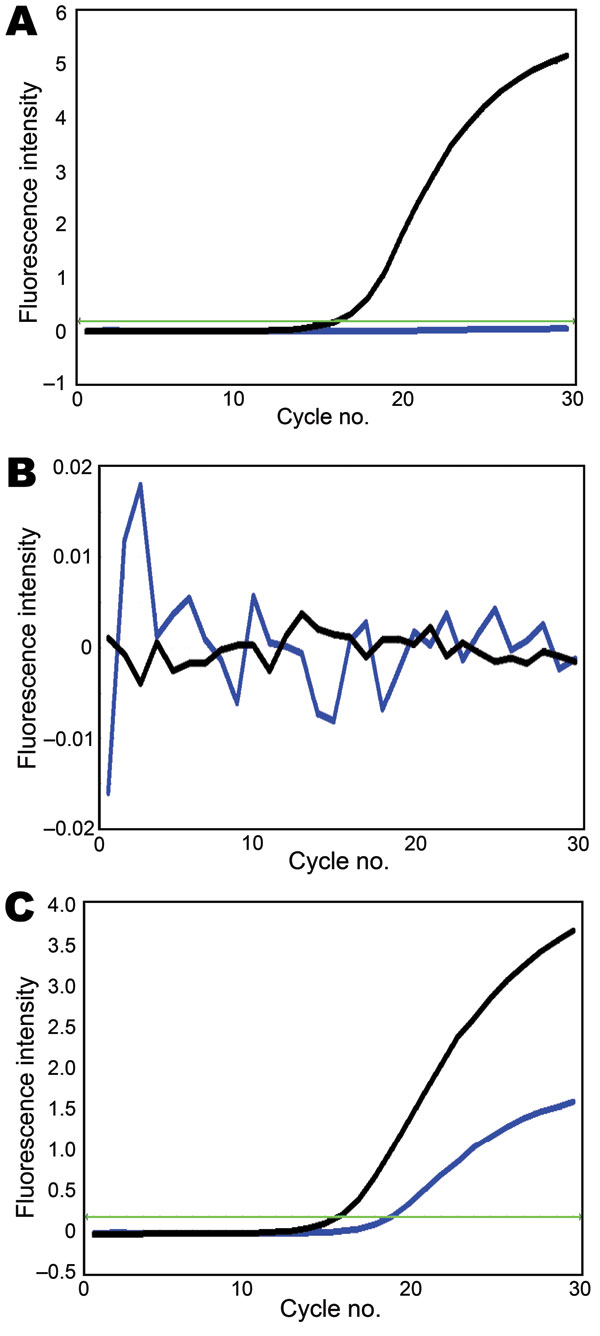 Genotyping of A) polymerase acidic protein, B) hemagglutinin, and C) neuraminidase segments of A/swine/Hong Kong/201/2010 influenza (H1N1) virus. Black line, amplification signal of SYBR green dye; blue line, amplification signal of cyanine 5 dye; green line, threshold level. The x-axis denotes the cycle number of a quantitative PCR assay, and the y-axis denotes the fluorescence intensity over the background.