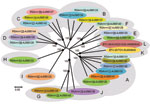 Thumbnail of Neighbor-joining tree showing relationships between genome segment-2 (Seg-2) from KUW2010/02 with the 25 reference strains of different bluetongue virus (BTV) serotypes. The tree was constructed by using distance matrices, generated by using the p-distance determination algorithm in MEGA 4.1 (500 bootstrap replicates) (12). The 10 evolutionary branching points are indicated by black dots on the tree (along with their bootstrap values), which correlate with the 11 Seg-2 nucleotypes d