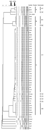 Thumbnail of Computer-assisted cluster analysis of pulsed-field gel electrophoresis fingerprints of 53 Acinetobacter baumannii and 2 Acinetobacter spp. pittii isolates. COL 20820 was used as the reference standard for normalization of the digitized gels (14).