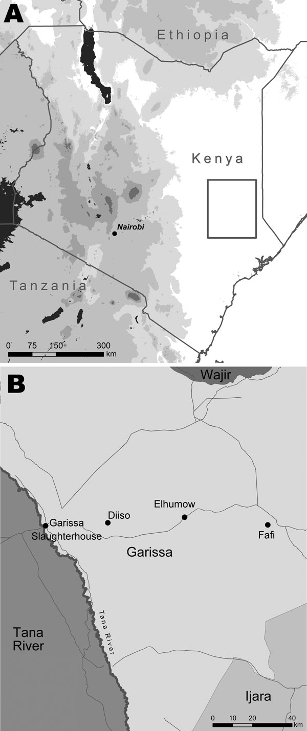 Location of Garissa District (A, box) in North Eastern Province, Kenya, and tick collection sites (B).