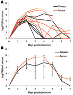 Thumbnail of Viremia profile for house sparrows experimentally inoculated with Tabasco or Tecate strains of West Nile virus. Virus titers are plotted on a logarithmic scale. A) Individual birds; B) group means. Error bars represent ranges of observed titers.