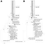 Thumbnail of Maximum-likelihood phylogenetic reconstructions for coxsackievirus A10 based on partial viral protein 1 sequences. A) 5′ partial coding region (89 sequences, 246 nt); B) 3′ partial coding region (87 sequences, 397 nt). Bootstrap values &gt;75% are shown. Scale bars indicate number of substitutions per nucleotide position. Multiple strains from the same country sharing the same node were collapsed and shown as triangles with shape proportional to branch distances and number of sequen