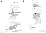 Thumbnail of Maximum likelihood phylogenetic reconstructions for coxsackievirus A6 based on partial viral protein 1 sequences. A) 5′ partial coding region (81 strains, 293 nt). B) 3′ partial coding region (68 sequences, 377 nt). Bootstrap values &gt;75% are shown. Scale bars indicate number of substitutions per nucleotide position. Multiple strains from the same country sharing the same node were collapsed and shown as triangles with shape proportional to branch distances and number of sequences