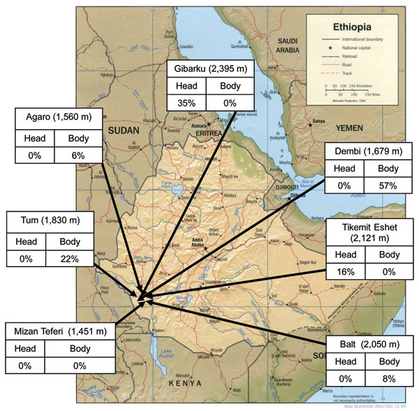 Percentage of humans with body or head lice infected with Bartonella quintana at different altitudes, Ethiopia.