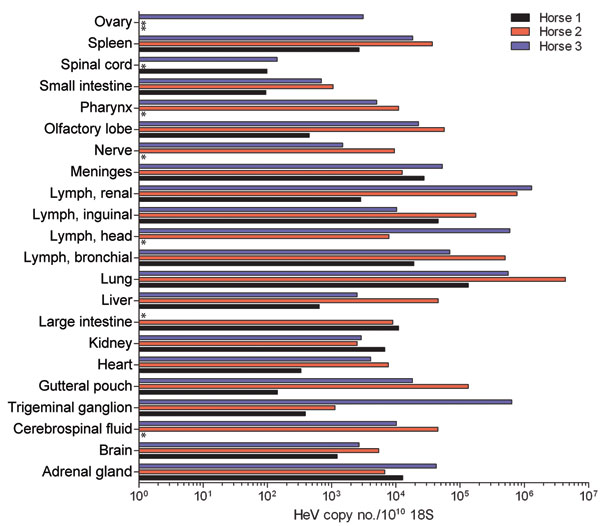 Relative abundance of Hendra virus (HeV) P RNA in different horse tissues at postmortem examination after experimental infection with HeV, Australia. Values are expressed relative to ribosomal 18S copies. Tissue origins are indicated along the y-axis. *Sample not available for testing.