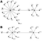 Thumbnail of A) Schematic representation of Staphylococcus aureus clonal complex (CC) 398, generated by eBURST version 3 from the S. aureus multilocus sequence typing database (http://saureus.mlst.net) as of September 2011. Subgroup founders sequence type (ST) 398 (3–35–19–2–20–26–39) and ST291 (3–37–19–2–20–26–32) are double locus variants, despite the depiction of intervening STs ST804 (3–35–19–2–20–26–2) and ST813 (3–37–19–2–20–26–2). Subgroup founders are denoted in larger font. B) spa clona