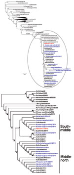 Thumbnail of Phylogenetic diagram of hemagglutinin (HA) gene of highly pathogenic avian influenza (H5N1) viruses, including viruses isolated in South Korea during 2010–2011. Blue indicates viruses isolated from wild birds, boldface indicates isolates from poultry, and red indicates reference virus.