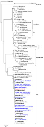 Thumbnail of Phylogenetic diagram of acidic polymerase gene of highly pathogenic avian influenza (H5N1) viruses, including viruses isolated in South Korea during 2010–2011. Blue indicates viruses isolated from wild birds, boldface indicates isolates from poultry, and red indicates reference virus.