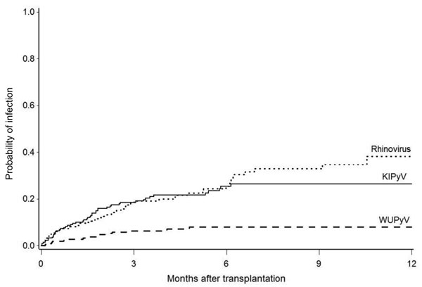 Cumulative incidence of KI polyomavirus (KIPyV) and WU polyomavirus (WUPyV) detection after transplantation in 222 hematopoietic cell transplantation recipients. Cumulative incidence of human rhinovirus is shown for comparison.