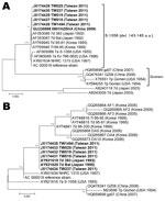 Thumbnail of Phylogenetic analysis of hexon (A) and fiber (B) genes of human adenovirus (HAdV) type 7 isolates. Coding sequences of hexon and fiber genes (2,805 and 978 bps) from 5 HAdV isolates from Taiwan in 2011 and reference sequences from the National Center for Biotechnology Information (www.ncbi.nlm.nih.gov/genbank) were included. Phylogenetic trees were constructed from aligned sequences by using the neighbor-joining method; 1,000 bootstrap replications were performed to evaluate the rel