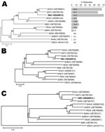 Thumbnail of Maximum-likelihood trees showing phylogenetic relationships of Simbu serogroup viruses for the medium segment (A), large segment (B), and N coding (C) regions. The bar plot in panel A indicates the percentage of titer reduction of each virus by anti–Schmallenberg virus serum. GenBank accession numbers are shown. Numbers at nodes indicate percentage of 1,000 bootstrap replicates (values &lt;50 are not shown). Scale bars indicate nucleotide substitutions per site. ND, not determined.