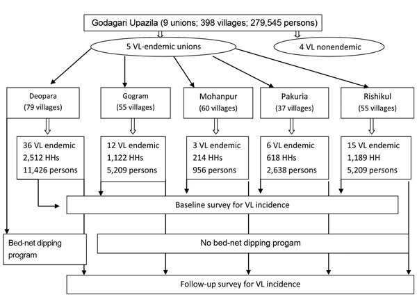 Design of study of reducing visceral leishmaniasis by insecticide impregnation of existing bed-nets, Bangladesh, 2006–2010. VL, visceral leishmaniasis; HH, households.