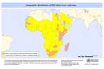 Thumbnail of Geographic distribution of Rift Valley fever outbreaks in animals and humans, 1997–2010 (5).