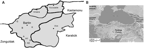 Regional map of Turkey showing the Bartin province (41°38′9′′N, 32°20′15′′E), where trapping of small mammals was conducted. Abbreviations indicate locations at which captures were performed: A, Akbas; B, Bogaz; H1, Hanyeri; H2, Hasankadi; G, Guzelcehisar; K, Kumluca; R, Region 49. Panel A corresponds to the region (Bartin Province) indicated by box in panel B.