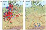 Thumbnail of PCR-confirmed cases of Schmallenberg virus infections in Germany in A) cattle (blue dots, 791), sheep (red dots, 860), and goat holdings (green dots, 47) from August 1, 2012, to May, 31, 2012; and B) cattle (blue dots, 82), sheep (red dots, 8), and goat holdings (green dot, 1) from June, 1, 2012, to October, 31, 2012. 