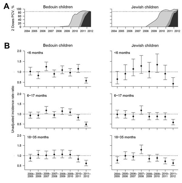 PCV uptake and decline in RCAP incidence 2004–05 through 2011–12, southern Israel. A) Uptake of &gt;2 PCV doses among Bedouin and Jewish children 6–17 months of age. Black line indicates overall uptake; shaded areas show the proportion receiving &gt;2 doses of PCV7 (light gray), &gt;2 doses of PCV13 (dark gray), or &gt;1 doses of PCV7 and 1 dose of PCV13 (medium gray). Dotted line indicates 85% uptake of any PCV. B) Unadjusted incidence rate ratio for RCAP comparing the incidence in each July–Ju