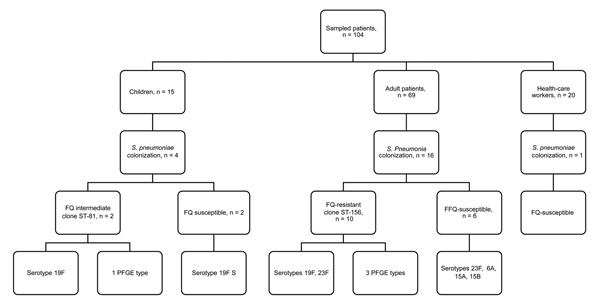 Serotyping and clonal analysis of the first point-prevalence survey of Streptococcus pneumoniae infection in a post–acute care facility, Israel, 2006–2011. FQ fluoroquinolone; FQISP, fluoroquinolone-intermediate S. pneumoniae; FQRSP fluoroquinolone-resistant S. pneumoniae.