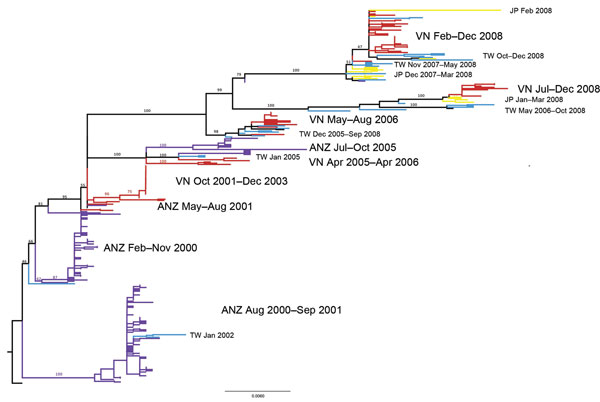 Maximum-likelihood phylogenetic tree (hemagglutinin segment) of the 300 sequences that comprise the regional influenza (H1N1) dataset. Tree is rooted on A/New Caledonia/20/1999, and bootstrap values are shown on key nodes. Branches are colored by location: red, Vietnam; purple, Australia or New Zealand; yellow, Japan; blue, Taiwan. Labels are shown directly to the left or right of the clades they are describing. JP, Japan; VN, Vietnam; TW, Taiwan; ANZ, Australia and New Zealand. Scale bar indica