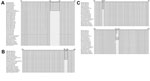 Thumbnail of Alignment the partial sequences of glycoprotein (g) C (A), gD (B), and gE (C) genes of pseudorabies virus at the nucleotide level. Black box indicates the region of insertion. 