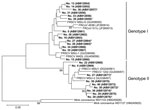 Thumbnail of Phylogenetic tree based on the nucleotide sequences of partial S genes of ferret coronaviruses (FRCoVs) isolated in Japan (shown in boldface; sample IDs are indicated) compared with other coronaviruses (CoVs). The tree was constructed by the neighbor-joining method in MEGA5.0 software (10); bootstrap values of &gt;90 are shown. Asterisks indicate samples from ferrets infected with FRCoVs of both genotypes1 and 2. DDBJ/EMBL-Bank/GenBank accession numbers for the nucleotide sequences 