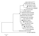 Thumbnail of Phylogenetic analysis of strains of human parechovirus type 3 from Europe compared with a representative strain of each of the 5 clades found in Denmark (squares). Maximum-likelihood analysis with bootstrap values &gt;70% are shown. Scale bar indicates nucleotide substitutions per site.