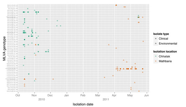 Day of Vibrio cholerae isolation and genotype, Bangladesh, 2010–2011. Multiple genetically identical isolates on the same day increase the darkness of the shape. MLVA, multilocus variable tandem repeat analysis.