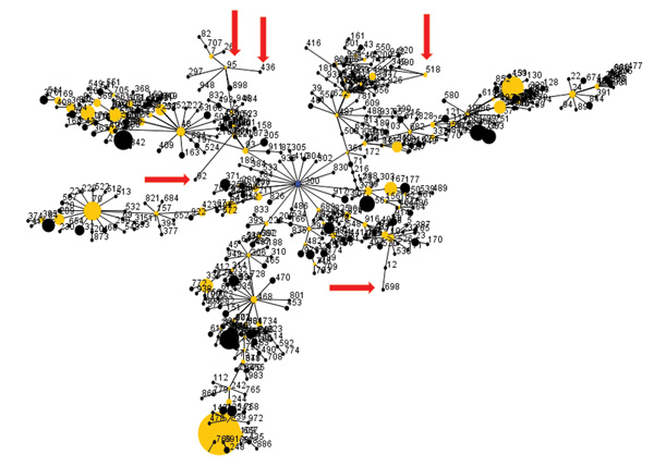 Diagram of eBURST (3) analysis of multilocus sequence types (STs) of Burkholderia pseudomallei isolates; default settings were used. Dots represent sequence types. Blue dot represents the calculated primary founder, yellow dots represent calculated subgroup founders, and black dots represent the remaining STs. The sizes of dots are proportional to the number of isolates in the database representing a given ST. A single line between sequence types indicates that they are single-locus variants of 