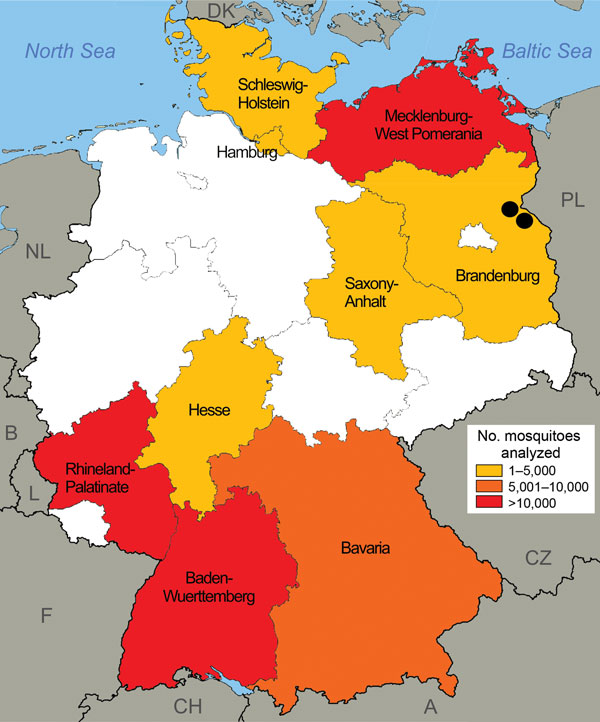 Origin of mosquito samples analyzed for infection with Dirofilaria repens, by federal state, Germany, May–September 2011 and 2012 (n = 74,547). Black dots indicate collection locations of mosquitoes that tested positive for D. repens DNA.