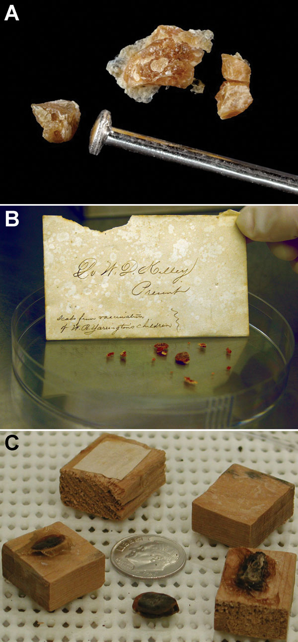 Recovered crusts. A) Lesion crust material from Virginia, USA, photographed after gamma irradiation. Photograph by James Gathany. B) Lesion crust material from an envelope contained within a book, New Mexico, USA, nineteenth century. Photograph by Russell L. Regnery. C) Lesion crust material from a jar on display in a museum, Arkansas, USA. Photograph provided by Erin Goldman.