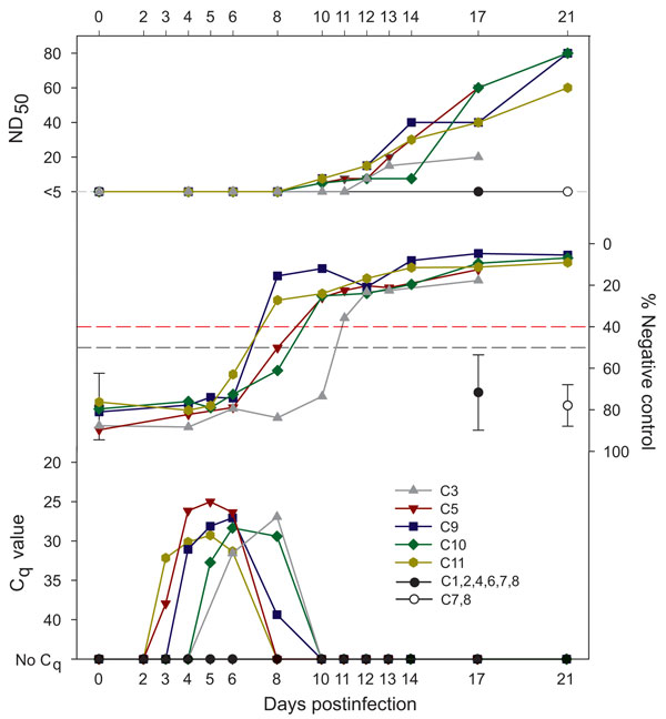 Detection of Schmallenberg virus (SBV) RNA and antibodies in serum of 5 of 11 cattle (C) injected with SBV RNA–positive bovine semen (quantification cycle [Cq] values 26.4–36.4). Infectivity was measured by using reverse transcription PCR (Cq), competitive ELISA (% negative control), and serum neutralization test (ND50, serum dilution that caused virus neutralization in 50% of the replicates). RNAemia and seroconversion occurred in C3, injected with pooled semen from bull C (Cq 34.2), and in C5 