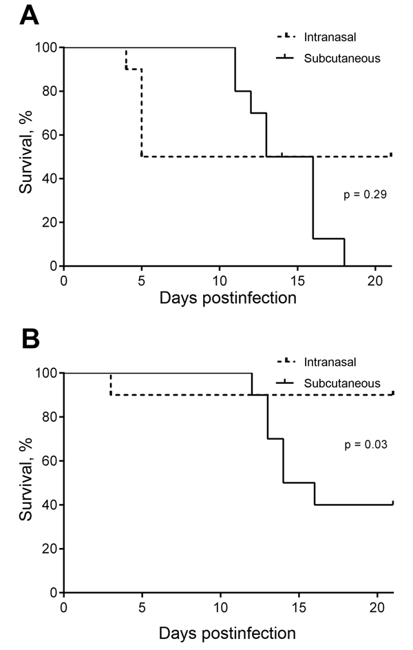 Comparison of survival after intranasal and subcutaneous infection of BALB/c mice with equivalent doses of the neurologic Burkholderia pseudomallei isolates MSHR435 (5 × 102 CFU) (A) and MSHR1153 (4.5 × 102 CFU) (B), Northern Territory, Australia, October 1989–October 2012. This inoculation dose was &gt;50× the 50% infectious dose for MSHR435 and MSHR1153, delivered by intranasal or subcutaneous inoculation. Data are expressed as percentage survival; 10 mice were monitored within each group for 