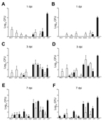 Thumbnail of Comparison of Burkholderia pseudomallei loads in organs of BALB/c mice at days 1 (A, B), 3 (C, D) and 7 (E, F) after intranasal (white bars) and subcutaneous (black bars) infection with the neurologic isolates MSHR435 (5 × 102 CFU; panels A, C, E) and MSHR1153 (4.5 × 102 CFU; panels B, D, F) , Northern Territory, Australia, October 1989–October 2012. Bacterial loads were assessed in NALT, cLN, iLN, blood, lung, brain, spleen, liver, and SAT at the indicated dpi. Five mice were asses