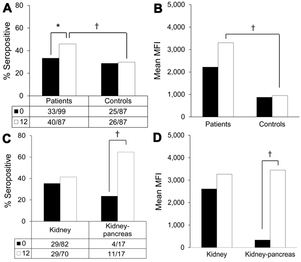 Human polyomavirus 9 (HPyV9) seropositivity and seroreactivity in samples from transplant patients and healthy blood donor controls collected 1 year apart, the Netherlands. Black bars, baseline samples; white bars, follow-up samples (Table 2). Values below bars indicate no. persons positive/total no. tested. A) Seropositivity percentages for transplant patients and controls; B) seroreactivity levels for transplant patients and controls; C) seropositivity percentages for kidney transplant and kid