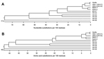 Thumbnail of Phylogenetic analysis of the nucleotide sequence (A) and predicted amino acid sequence (B) from the swab sample amplicon from the gorilla with the corresponding regions of HSV-1 (HHV-1; GenBank accession no. AFI98948); HSV-2 (HHV-2; AGI44412); MaHV-1 (AAT67222); PaHV-2 (YP_443877); HHV-3 (varicella zoster virus; ABF21820); HHV-4 (Epstein-Barr virus; YP_401712); HHV-5 (human cytomegalovirus; AAP37469); HHV-6 (BAF93477); HHV-8 (Kaposi sarcoma virus; ACY00400), and EHV-1 ADI96155). Seq