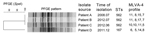 Thumbnail of Pulsed-field gel electrophoresis (PFGE) patterns for 3 sequence type (ST) 562 and 1 ST167 Burkholderia pseudomallei strains isolated during 2008–2012, Hainan, China. The isolate source, isolation time, ST, and 4-locus multilocus variable-number tandem-repeat analysis (4-MLVA) profiles are indicated for each strain. Scale bar indicates percentage similarity.