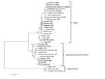 Thumbnail of Phylogenetic tree derived by neighbor-joining methods (1,000 bootstrap replications) using complete genome sequences of chikungunya viruses obtained from GenBank. Scale bar represents the number of nucleotide substitutions per site. Genotypes are indicated on the right. GenBank accession numbers for viruses used for construction of the tree follow: Yap 2013–3807 (KJ451622), Yap 2013–3462 (KJ451623), British Virgin Islands-99659 (KJ451624), Philippines 2012-JC2012 (KC488650), China 2