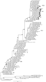 Thumbnail of Evolutionary relationships of 155 full-length hemagglutinin sequences from equine A(H3N8)viruses collected globally and A/camel/Mongolia/335/2012 (arrow). The 2 clades associated with most recent equine influenza A(H3N8) viruses, Florida clade 1 and Florida clade 2, are denoted as FC1 and FC2, respectively, and with nomenclature adopted previously (13). The maximum-likelihood tree is midpoint rooted for clarity, and all branch lengths are drawn to scale. High (&gt;70) bootstrap valu