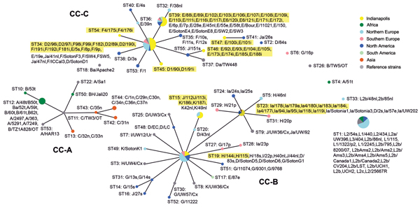 Population snapshot for Chlamydia trachomatis samples collected during April 2000–October 2003 from members of heterosexual partnerships (dyads) in Indianapolis, Indiana, USA, compared with reference strains. Data were compiled in eBURST (http://www.mlst.net). Three distinct clonal complexes (CCs) are shown, along with numerous singletons of various sizes and 1 doublet. CC-A, strains causing trachoma; CC-B, noninvasive, nonprevalent urogenital strains; CC-C, noninvasive, globally prevalent uroge