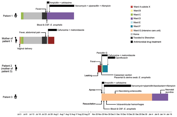 Clinical course of illness in 3 patients infected with Elizabethkingia anophelis in whom sepsis developed and the mother of patient 1, who had culture-negative postpartum fever, Hong Kong, 2012. Locations where patients were treated at the hospital and times when they were home are noted.CSF, cerebrospinal fluid; leaking, leaking of amniotic fluid (membrane rupture).