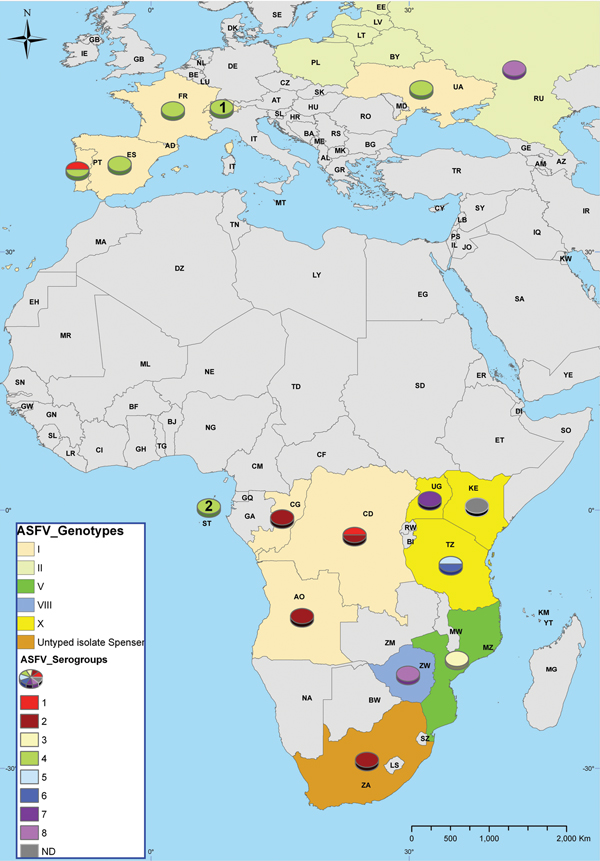 World distribution of African swine fever virus (ASFV) isolates maintained in a collection at the National Research Institute for Veterinary Virology and Microbiology in Рokrov, Russia. Results of p72 genotyping and hemadsorption inhibition assay of ASFV isolates are summarized on the map. Genotype II of ASFV isolates from Lithuania, Latvia, Estonia, Poland, and Belarus was identified by CISA-INIA (Animal Health Research Center; European Union Reference Laboratory for African Swine Fever). ASFV 