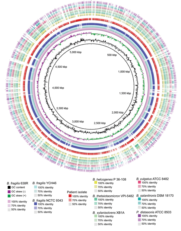 Characterization of circular plot of genome diversity between the clinical isolate of a multidrug-resistant, novel Bacteroides genomospecies and other Bacteroides spp. isolates. Reading from the center outwards, the map, GC content, and GC skew of the B. fragilis reference strain 638R are depicted. The white and colored regions of the following outer rings indicate regions absent and present, respectively, in genomes of the indicated organism compared with the genome of B. fragilis reference str