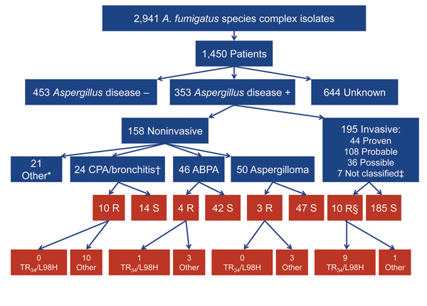 Patient characteristics and underlying resistance mechanisms of patients with invasive and noninvasive Aspergillus disease. *Otomycosis, dermatomycosis, or onychomycosis; 1 patient had a resistant isolate and otomycosis (patient 9 in the online Technical Appendix Table, http://wwwnc.cdc.gov/EID/article/21/6/14-0717-Techapp1.pdf). †One patient had chronic pulmonary aspergillosis and ABPA. ‡Not classified according to European Organization for the Research and Treatment of Cancer/Mycoses Study Gro