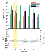 Thumbnail of Comparison of filtration methods used for development of tissue-based universal virus detection for viral metagenomics protocol. Copy numbers were measured by quantitative PCR in duplicate. RQ, relative quantification: RQ (2 – ΔΔCt); (ΔΔCt = Δ purified – Δ unprocessed). Lower panel left y-axis indicates signal-to-noise ratio (RQ) for all viruses tested. The method with the highest score was used to establish the protocol and is shaded in yellow. Red stars indicate highest scores. Di