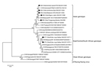 Thumbnail of Cladogram of chikungunya virus, Asian and East/Central/South African genotypes, from chikungunya fever outbreaks in 6 districts in Indonesia, April–October 2011. Black dots indicate samples from patients. Scale bar indicates nucleotide substitutions per site. CHK, chikungunya; Chiks, chikungunya.