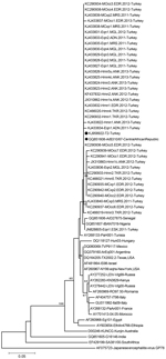 Thumbnail of Neighbor-joining phylogenetic tree constructed on the basis of the West Nile virus (WNV) partial envelope gene nucleotide sequences (183 nt) of 38 WNV strains from Turkey and selected global strains. Black dot indicates WNV isolate T2 from Turkey, and black diamond indicates the closely related strain ArB310/67 from the Central African Republic. Bootstrap values of major branches are given for 1,000 replicates. GenBank accession number, name, and country of isolation are given for g