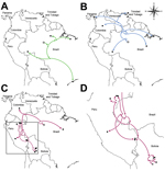 Thumbnail of Spread (arrows) of Wyeomyia virus (WYOV) group viruses and Guaroa virus (GROV) in Central and South America. A) Anhembi lineage WYOV group viruses; B) Wyeomyia lineage WYOV group viruses; C) GROVs. D) Enlargement of boxed area in panel C, showing the spread of GROV in Bolivia and Peru, as determined by phylogeographic analysis. Bayesian coalescent phylogenies incorporating sample times and locations (Technical Appendix Table) were calculated for the nucleoprotein open-reading frame 