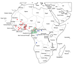 Thumbnail of Distribution of multidrug-resistant Salmonella enterica serotype Typhi isolates by genetic lineage (A, B, or C), Gulf of Guinea region, Africa. Location within the country of infection/isolation was assigned at random. UAE, United Arab Emirates.